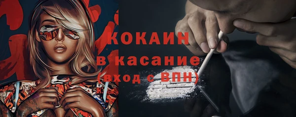 тгк Новодвинск
